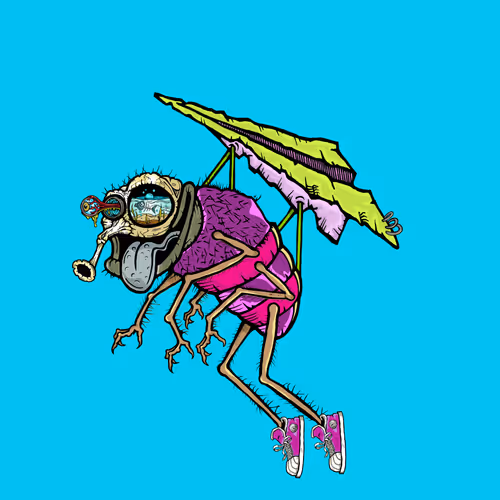 Official Funky Flies