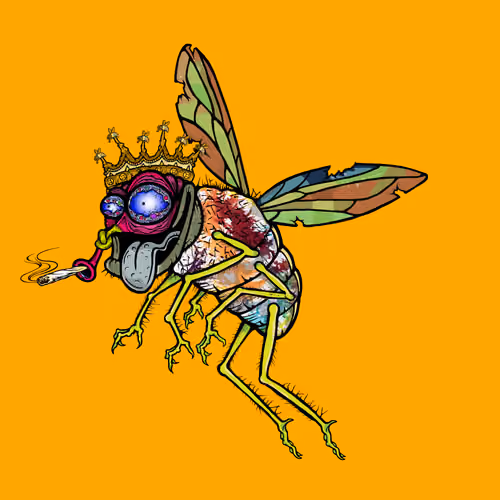 Funky Fly #1016