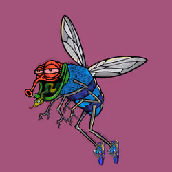 Funky Fly #1139