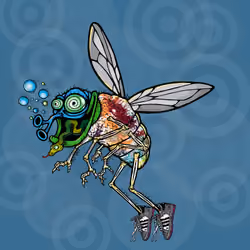 Funky Fly #5660