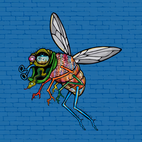 Official Funky Flies