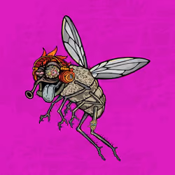 Funky Fly #1164