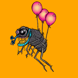 Funky Fly #6899