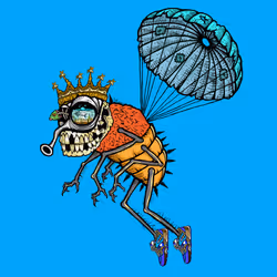 Funky Fly #3649