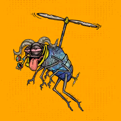 Funky Fly #5493