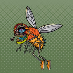 Funky Fly #438
