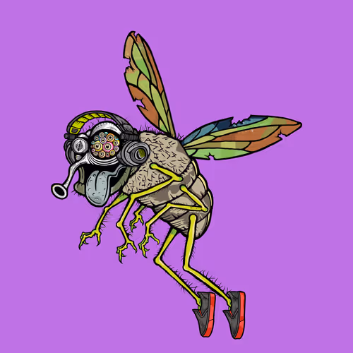 Official Funky Flies