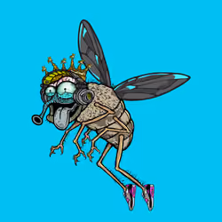 Funky Fly #6138