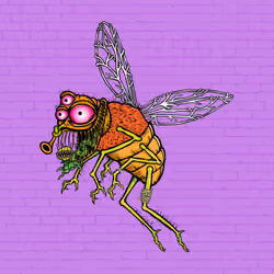Funky Fly #2193