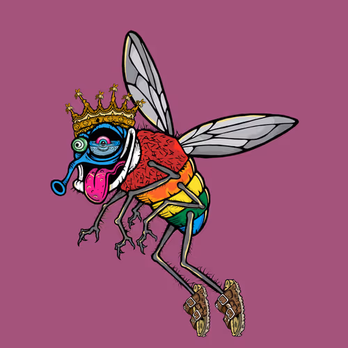 Official Funky Flies