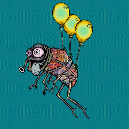 Official Funky Flies