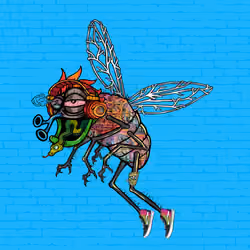 Funky Fly #4795