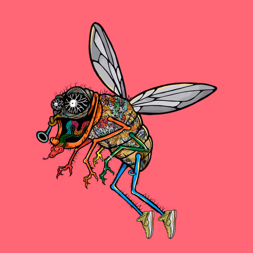 Official Funky Flies
