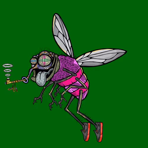 Official Funky Flies