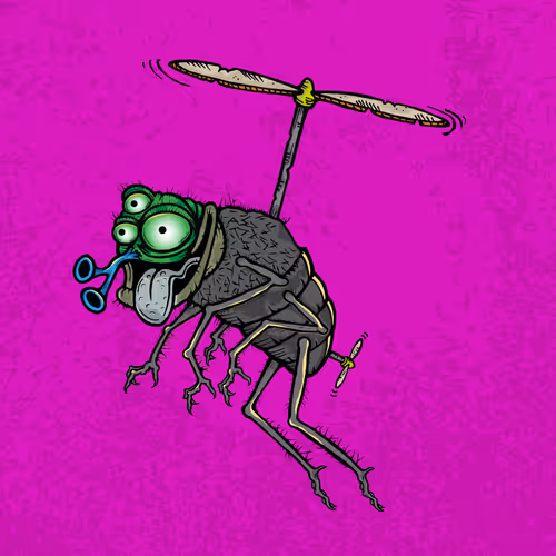 Official Funky Flies