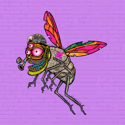 Funky Fly #1095
