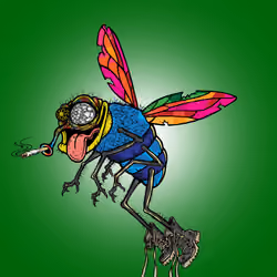 Funky Fly #4763