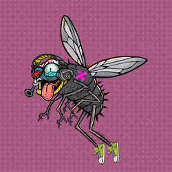 Funky Fly #6671
