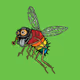 Funky Fly #1639