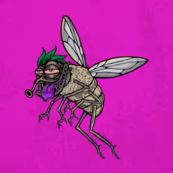 Funky Fly #6468