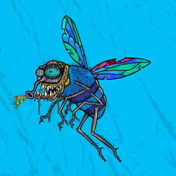 Funky Fly #5723
