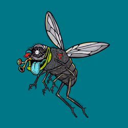 Funky Fly #4156