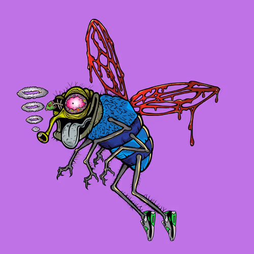 Official Funky Flies