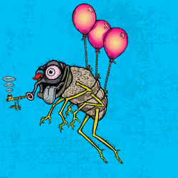 Funky Fly #4231