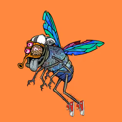Funky Fly #2612
