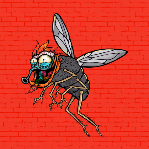 Official Funky Flies