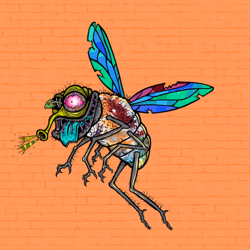 Official Funky Flies
