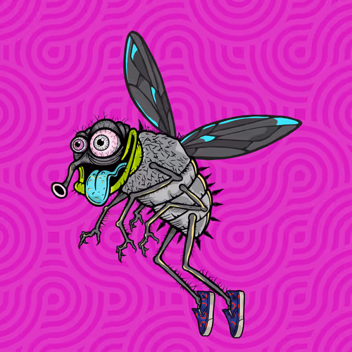 Official Funky Flies