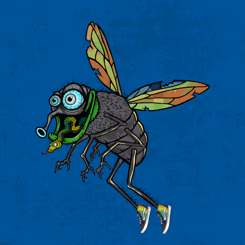 Official Funky Flies