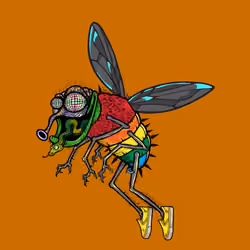Funky Fly #2481