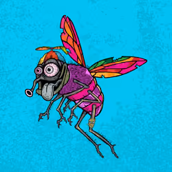 Funky Fly #902