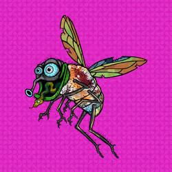 Funky Fly #6024