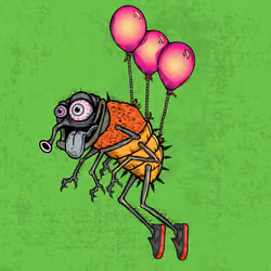 Funky Fly #1518