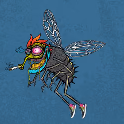 Funky Fly #1137