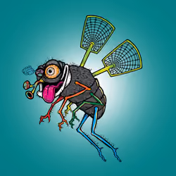 Funky Fly #148
