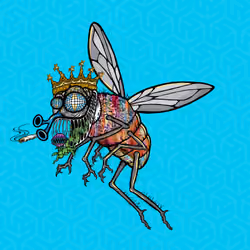 Funky Fly #5204