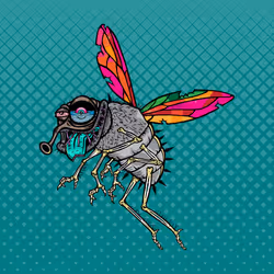 Funky Fly #7222