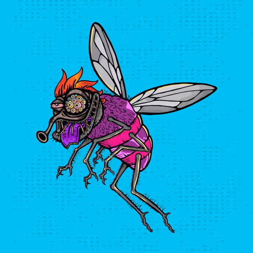 Official Funky Flies