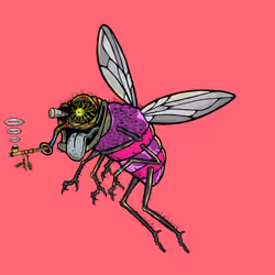 Funky Fly #5132