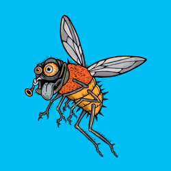 Funky Fly #5592