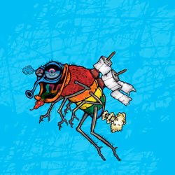 Funky Fly #5662