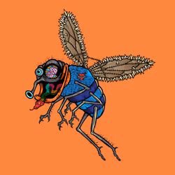 Funky Fly #4476