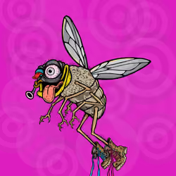 Funky Fly #3263