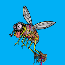 Funky Fly #1012
