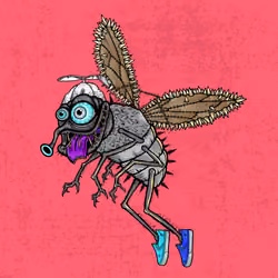 Funky Fly #3121