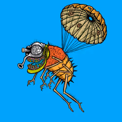 Funky Fly #3415